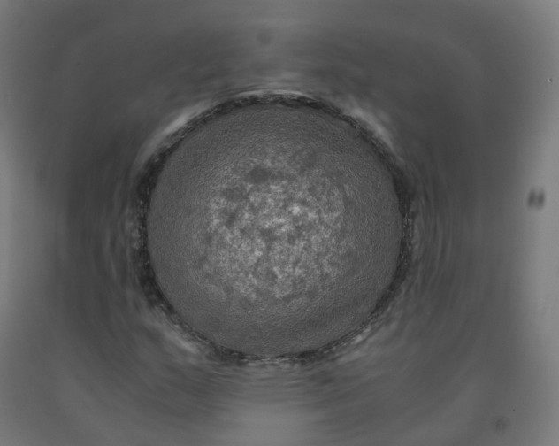 X0000092001159200709271502