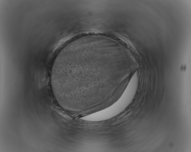 X0000092001160200709271502