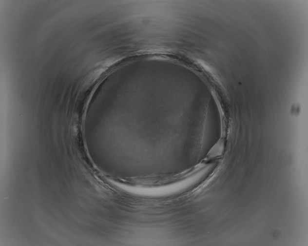 X0000092001161200709271502