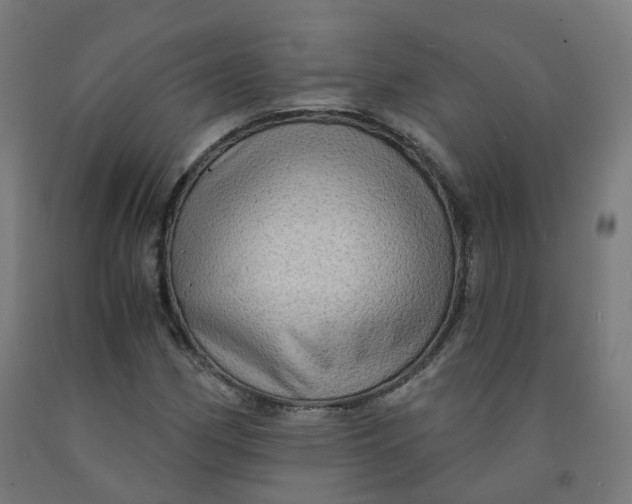 X0000092001162200709271502