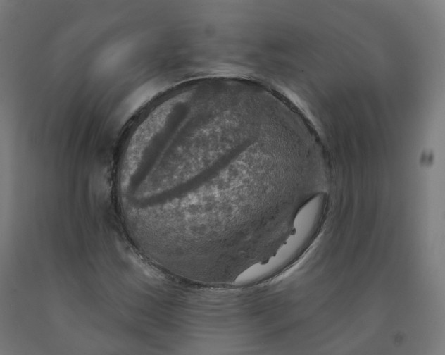 X0000092001163200709271502