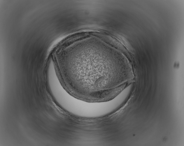 X0000092001164200709271502