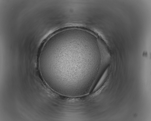 X0000092001165200709271502