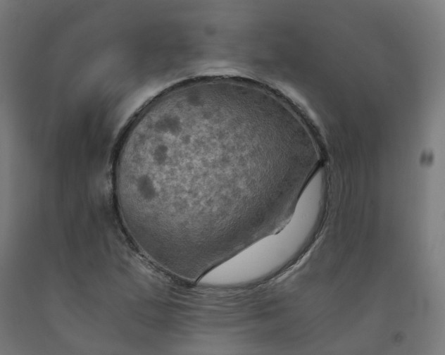 X0000092001167200709271502