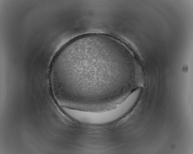 X0000092001168200709271502