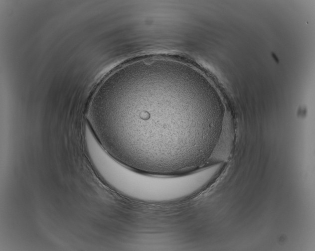 X0000092001169200709271502