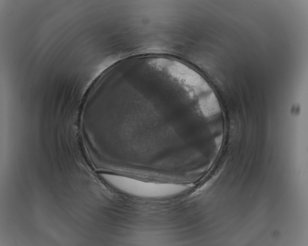 X0000092001170200709271502