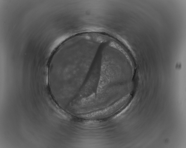 X0000092001171200709271502