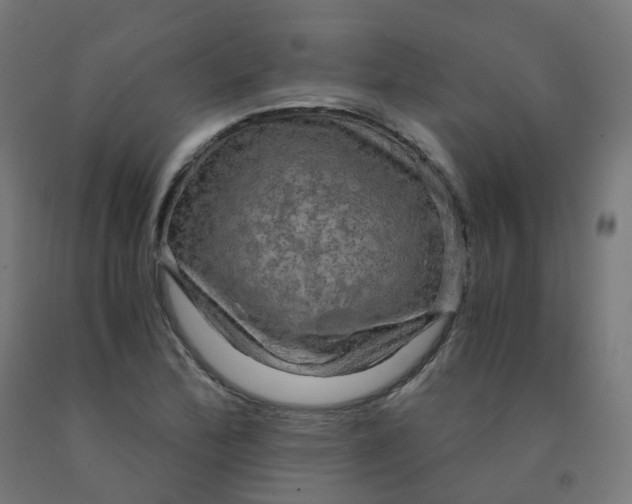 X0000092001172200709271502