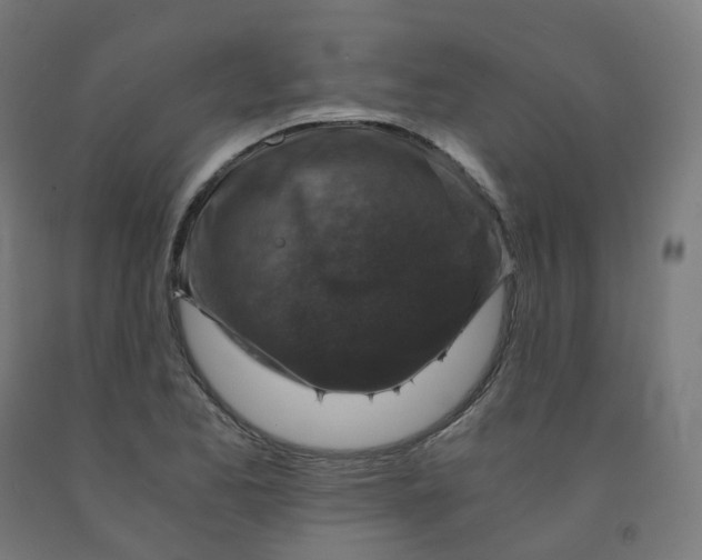 X0000092001173200709271502