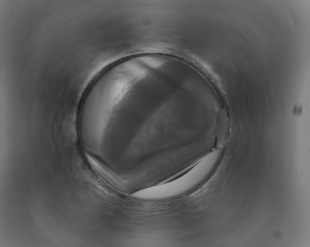 X0000092001174200709271502