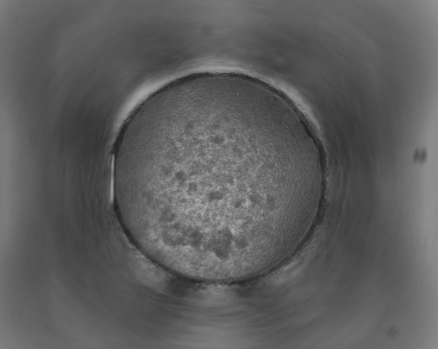 X0000092001175200709271502