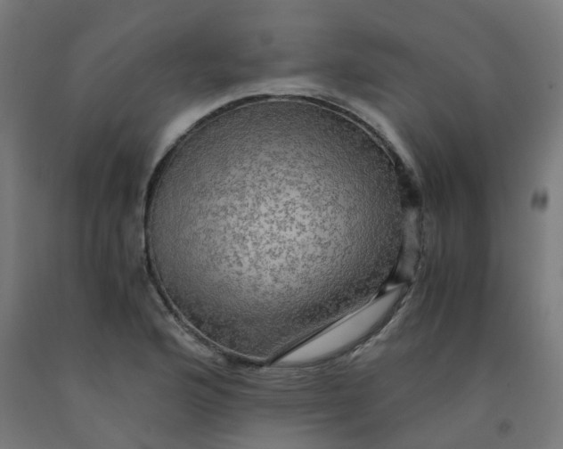 X0000092001176200709271502