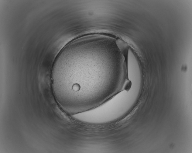 X0000092001177200709271502