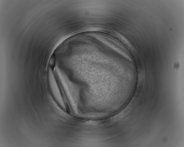 X0000092001178200709271502