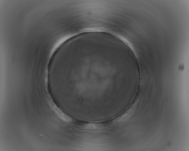 X0000092001179200709271502