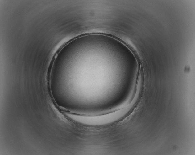 X0000092001181200709271502