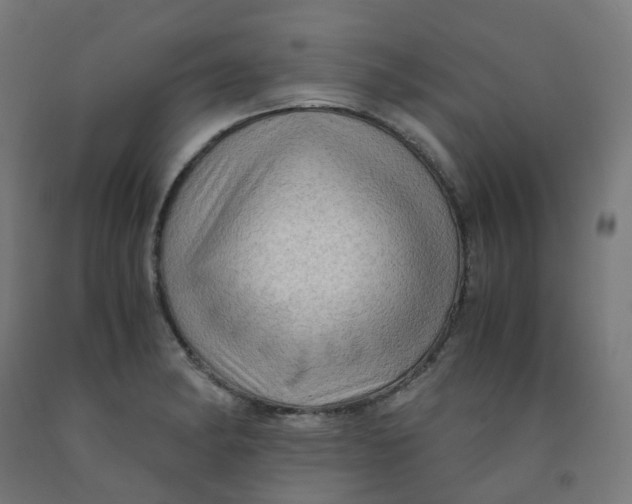 X0000092001182200709271502