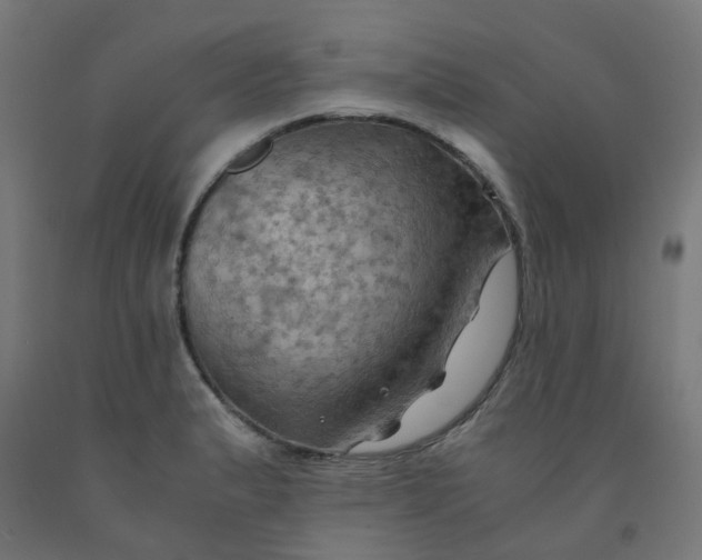 X0000092001183200709271502