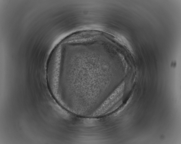 X0000092001184200709271502