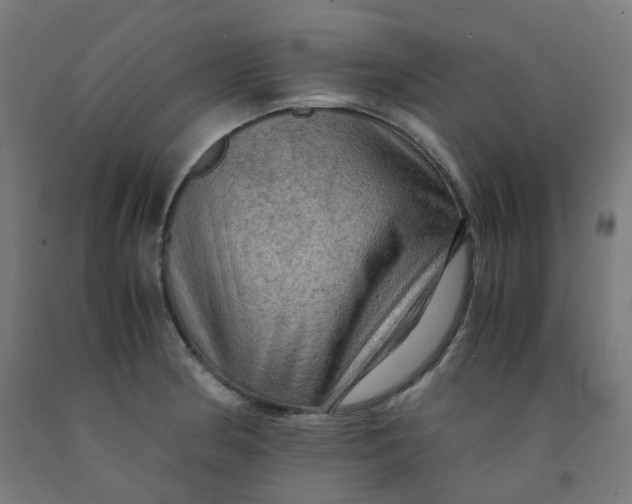 X0000092001186200709271502