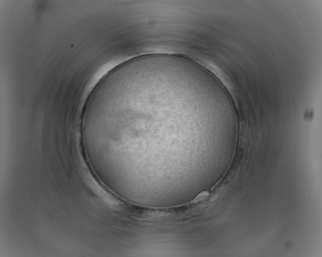 X0000092001187200709271501