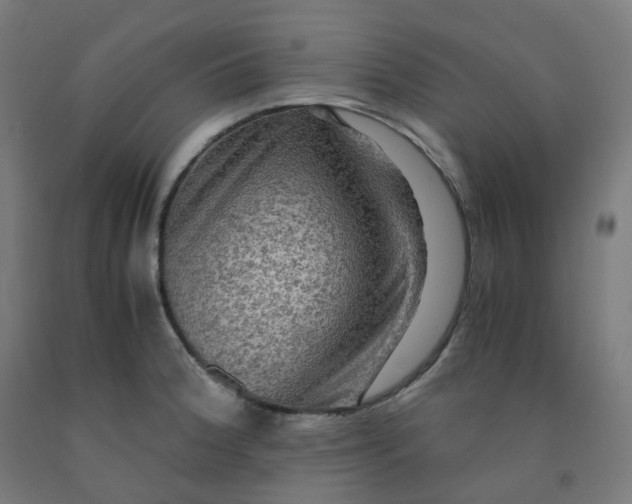 X0000092001188200709271501