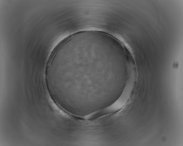 X0000092001189200709271501