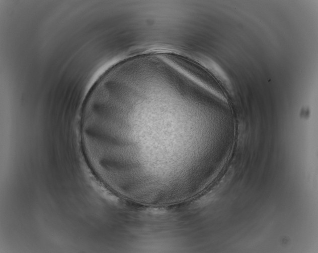 X0000092001190200709271501