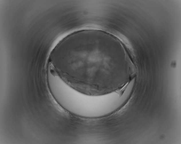 X0000092001192200709271501