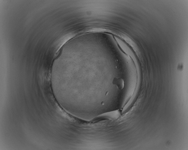 X0000092001193200709271501