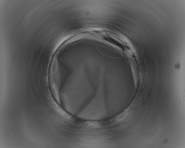 X0000092001194200709271501