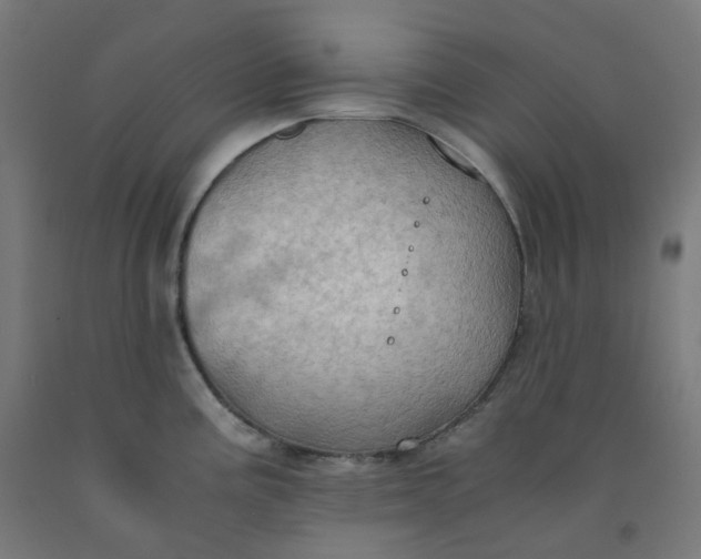 X0000092001195200709271501