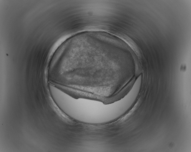 X0000092001196200709271501