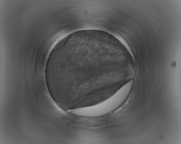 X0000092001197200709271501