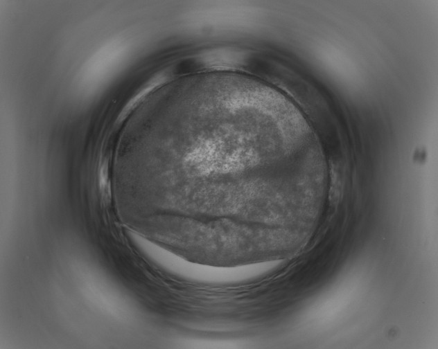 X0000092001198200709271501