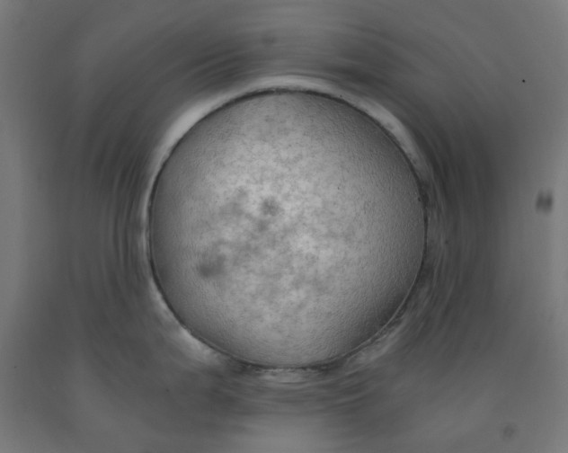 X0000092001199200709271501