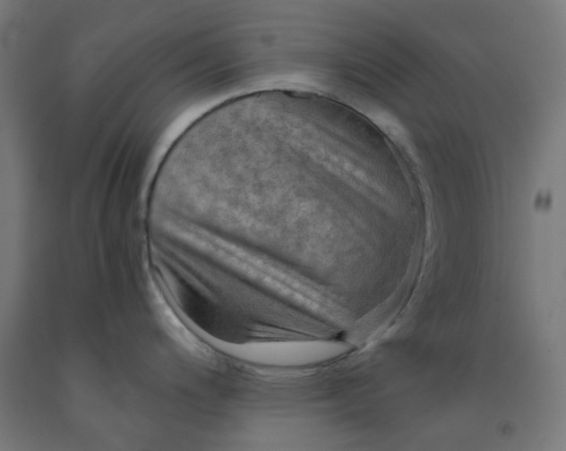 X0000092001200200709271501