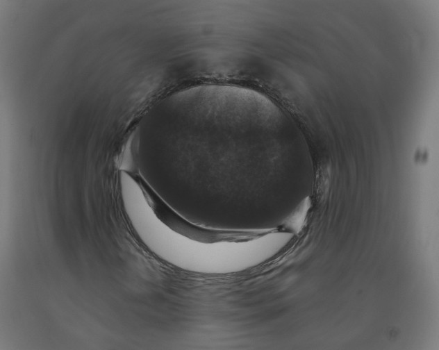 X0000092001202200709271501