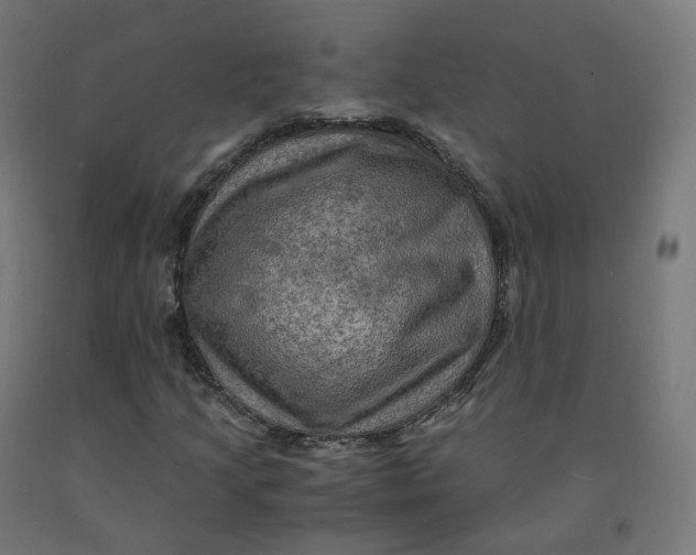 X0000092001205200709271501