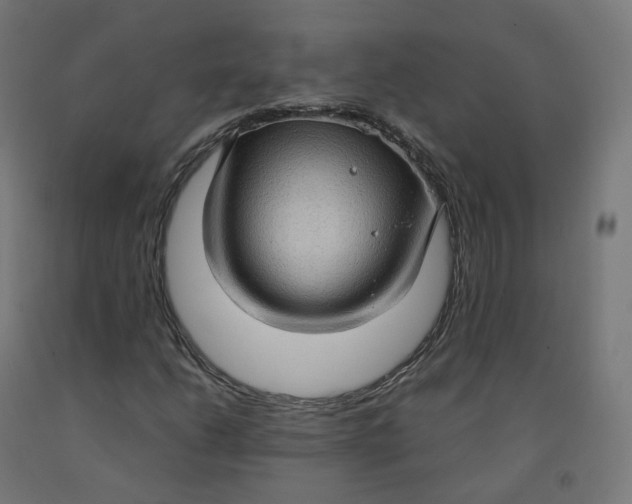 X0000092001206200709271501