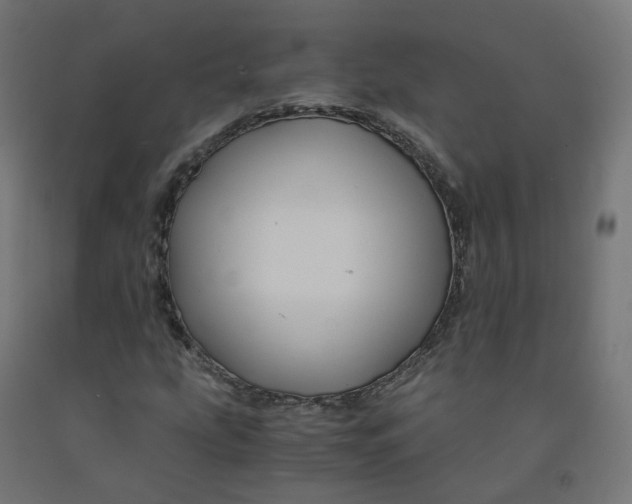 X0000092001207200709271501