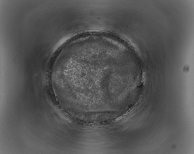 X0000092001208200709271501