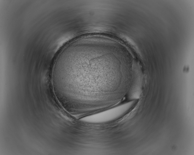 X0000092001210200709271501