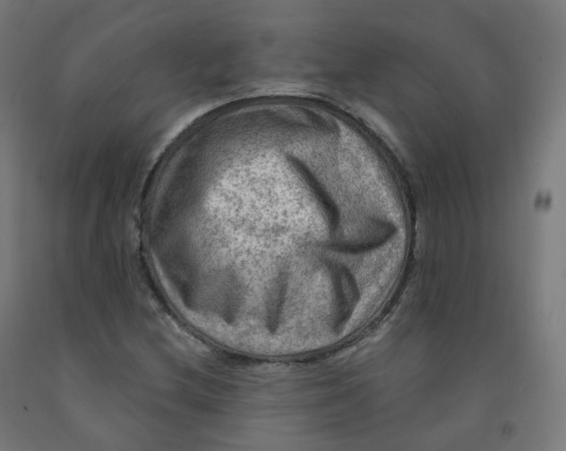 X0000092001212200709271501