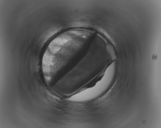 X0000092001213200709271501