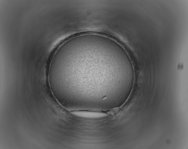 X0000092001214200709271501