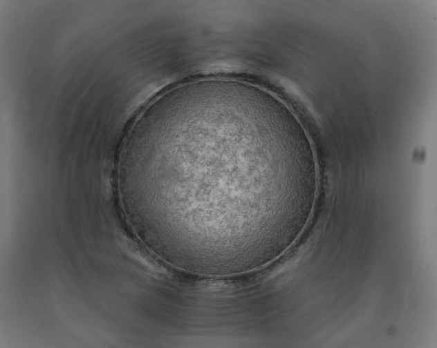 X0000092001217200709271501