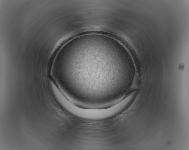 X0000092001218200709271501