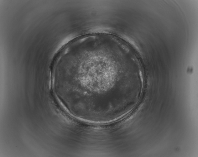 X0000092001219200709271501